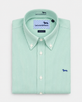 Camisa de rayas verde corte regular Harmont Blaine