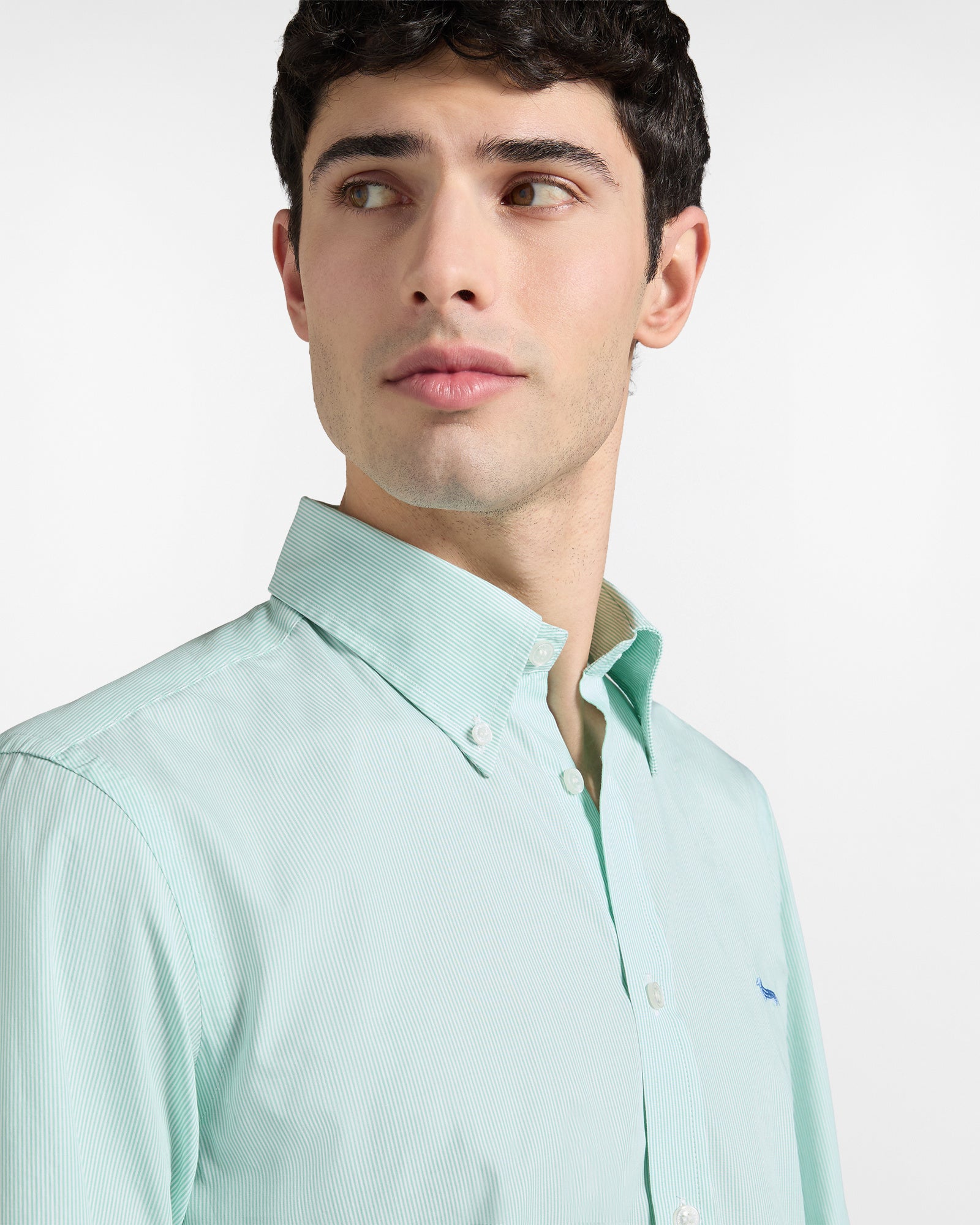 Camisa de rayas verde corte regular Harmont Blaine