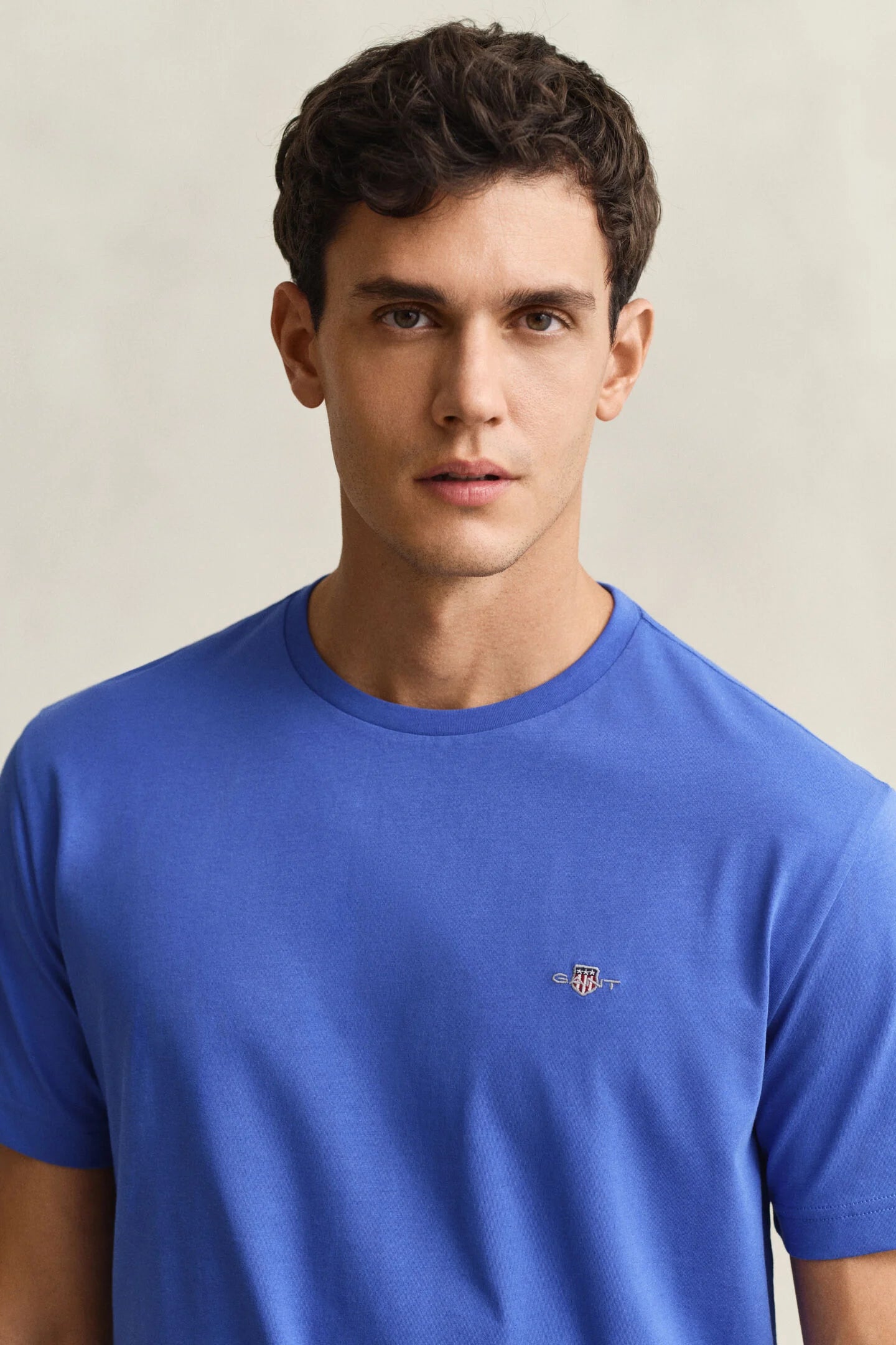 Camiseta algodón básica azul Gant